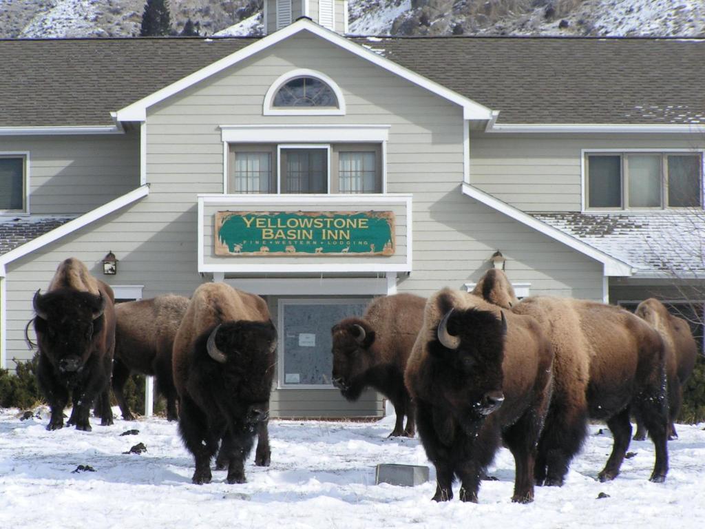 Inn Yellowstone Basin Gardiner