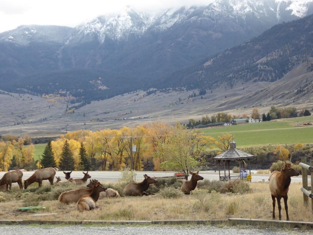 Inn Yellowstone Basin 3*