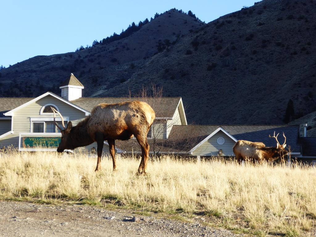 Inn Yellowstone Basin Gardiner